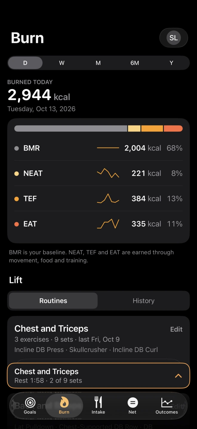 The Burn screen with the lift tracker under the day's burn, and a workout in progress tucked into a bar above the tabs