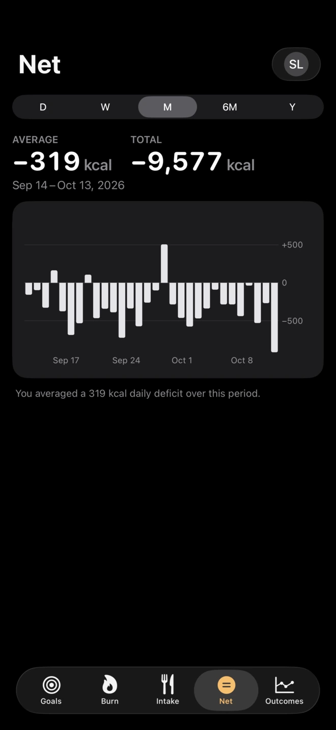 The Net screen: an average daily deficit of 319 kcal over a month, with a bar for each day